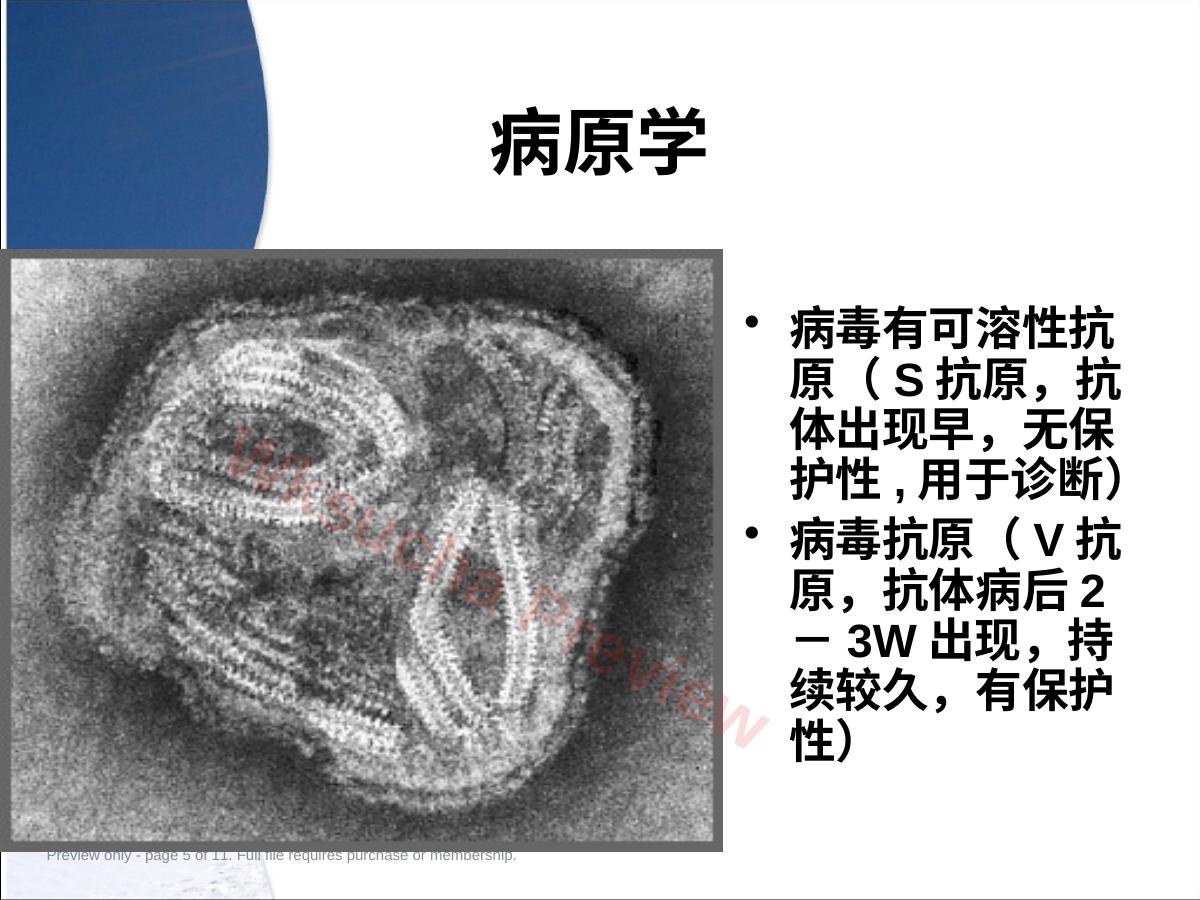预览第 5 页