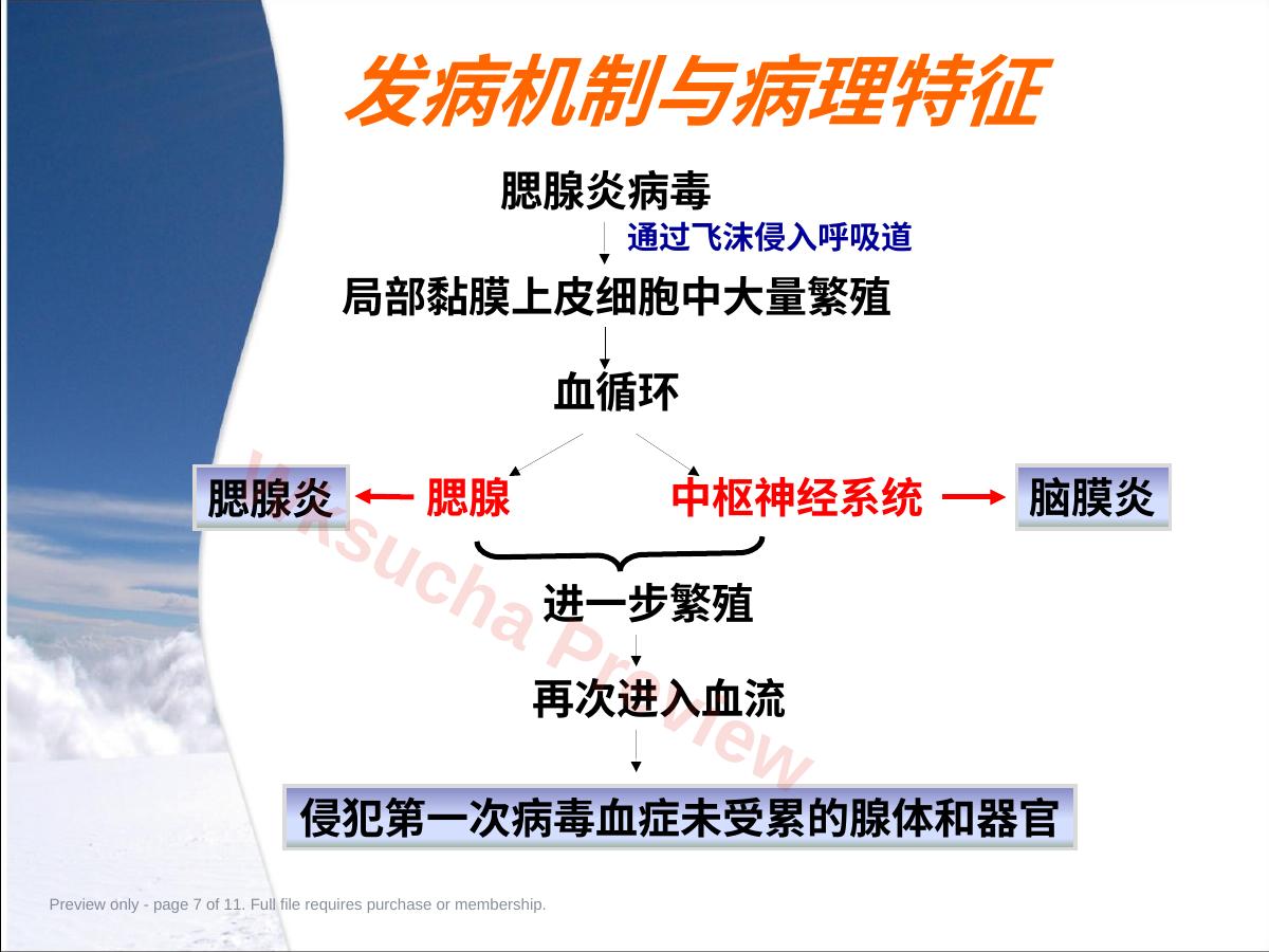 预览第 7 页
