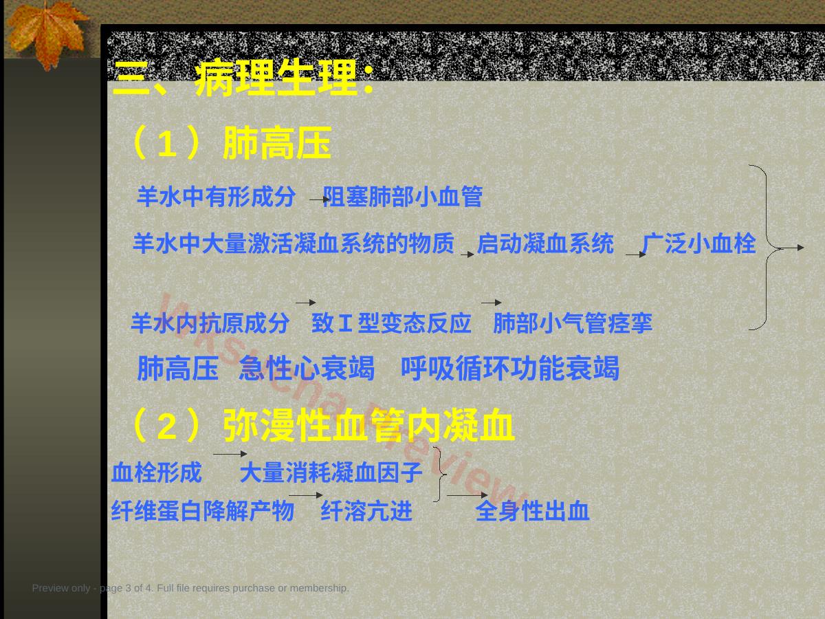 预览第 3 页