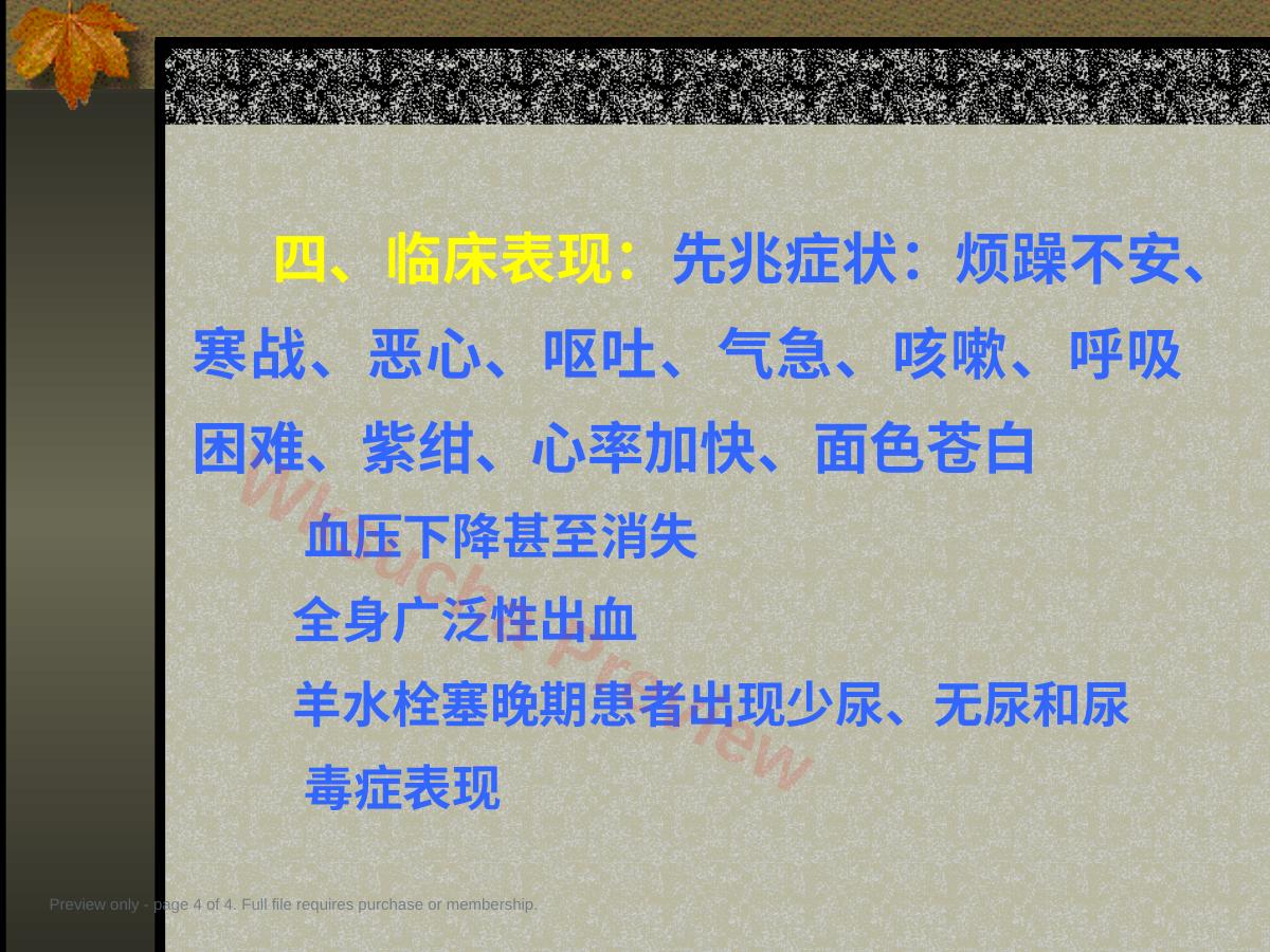 预览第 4 页