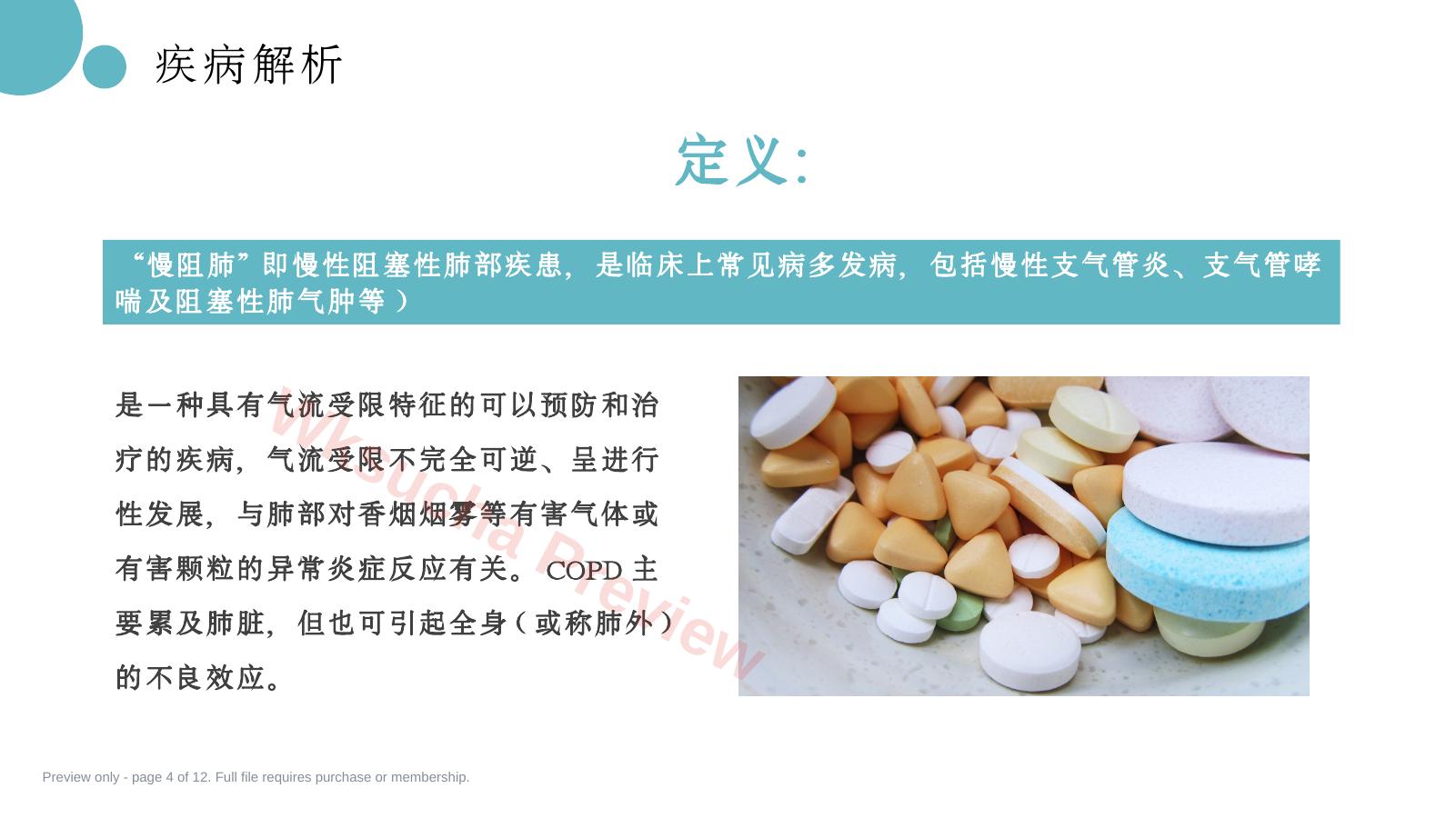 预览第 4 页