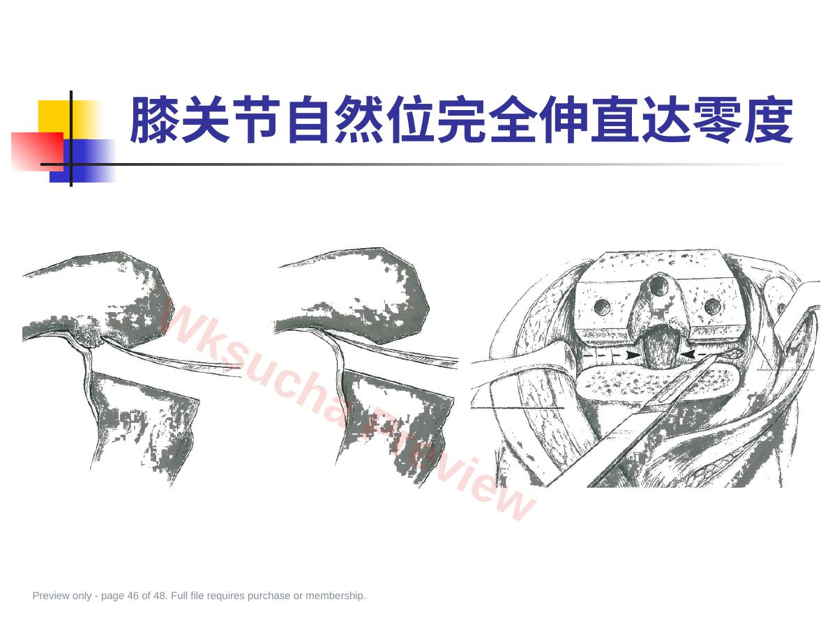 预览第 46 页