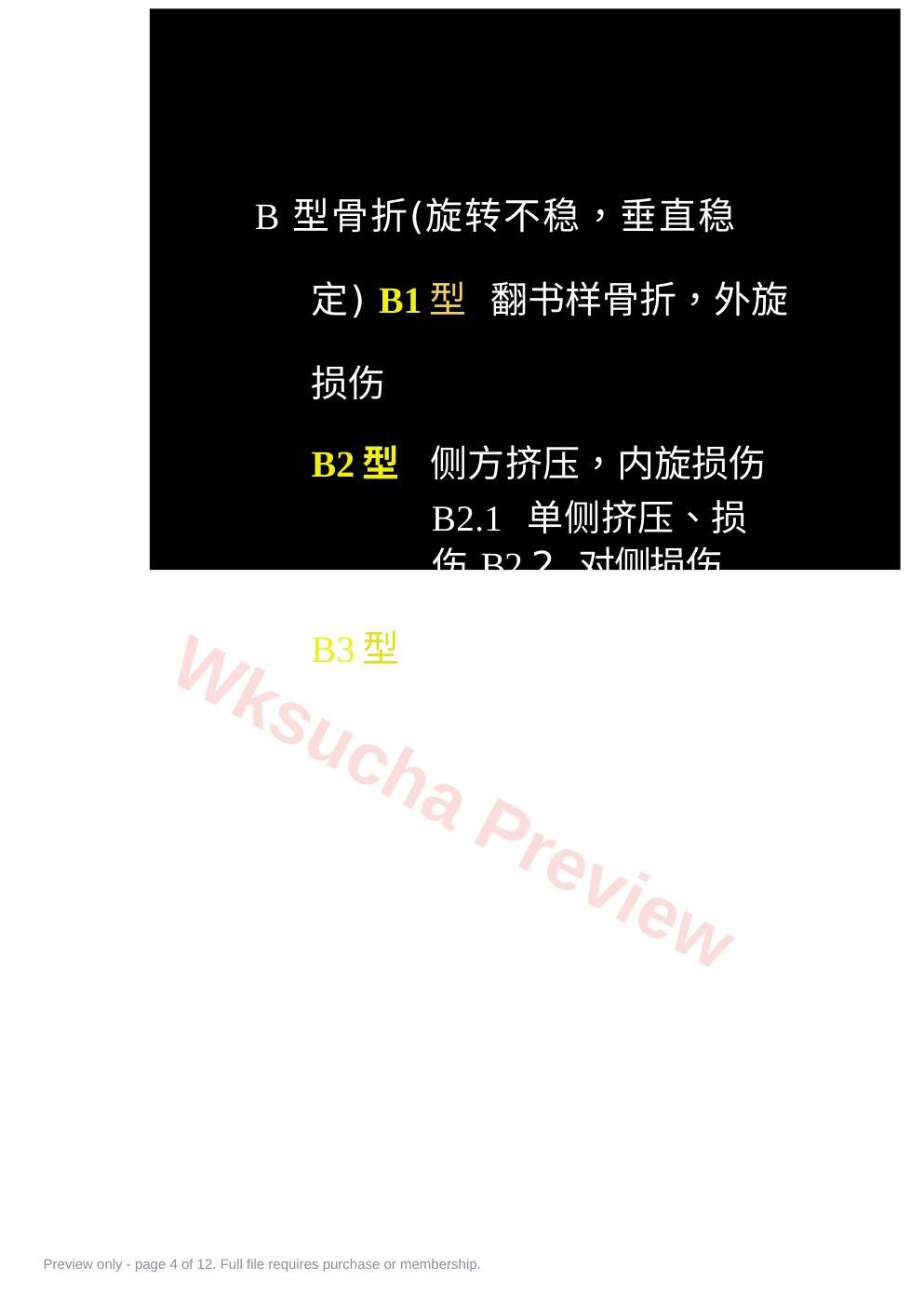 预览第 4 页