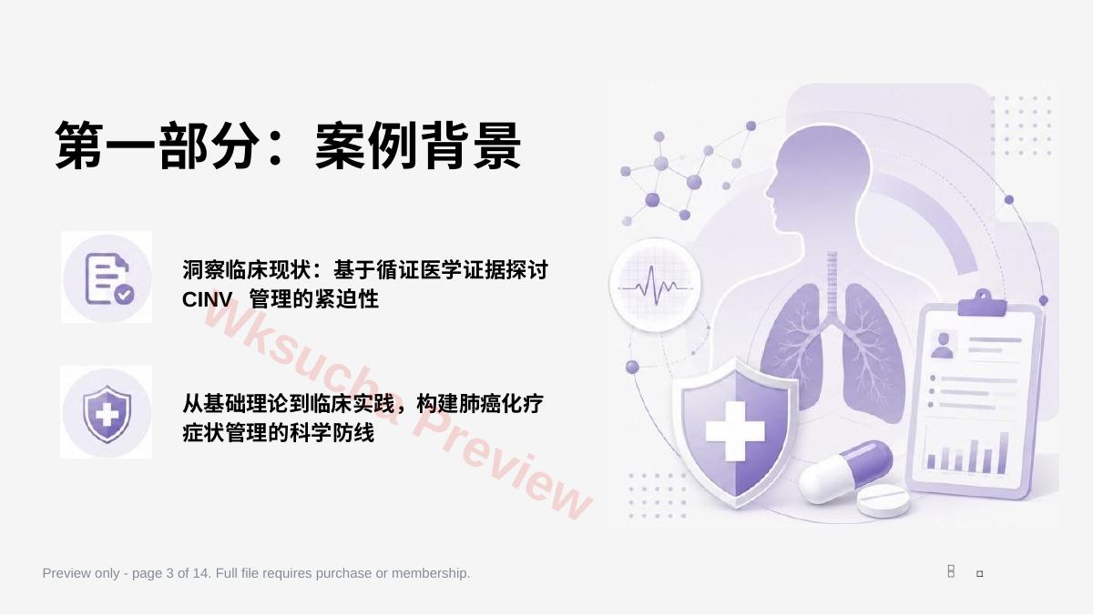预览第 3 页