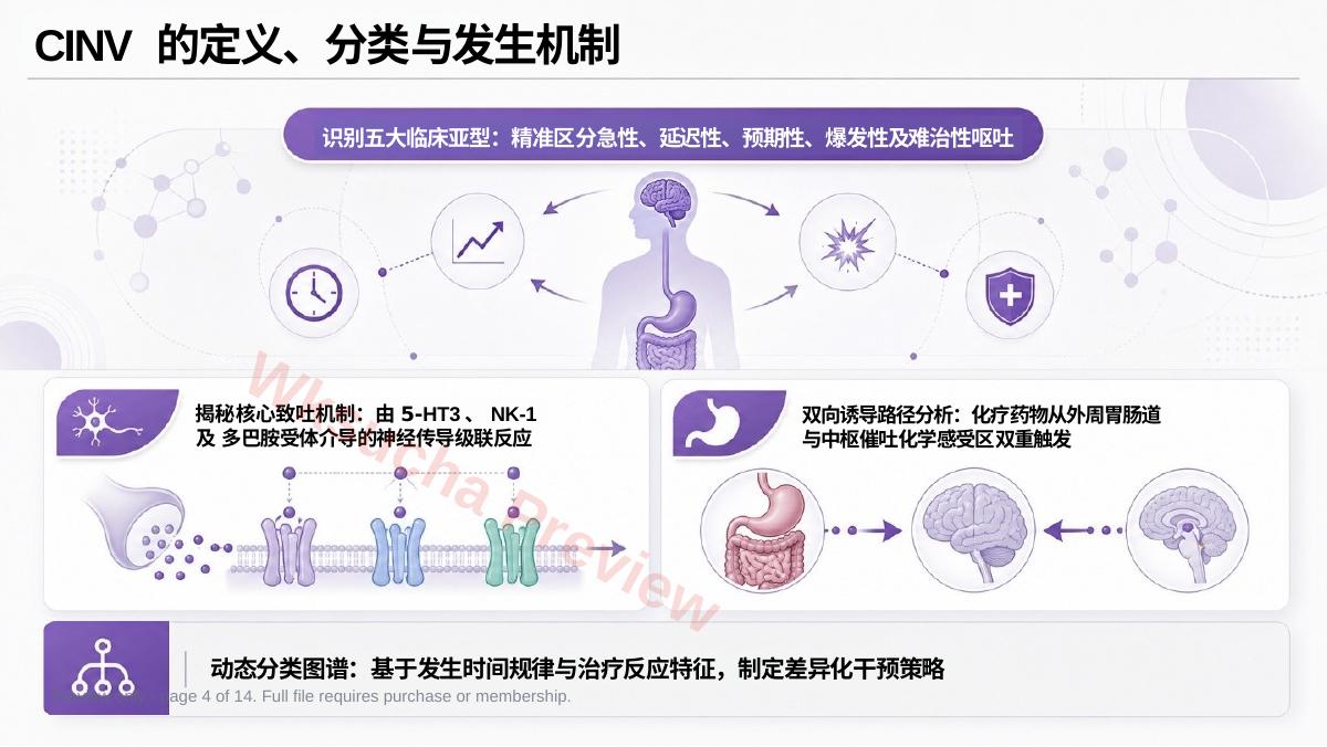 预览第 4 页