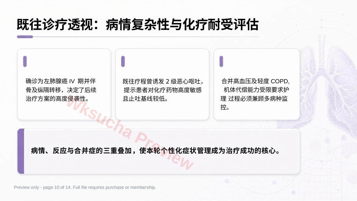 预览第 10 页