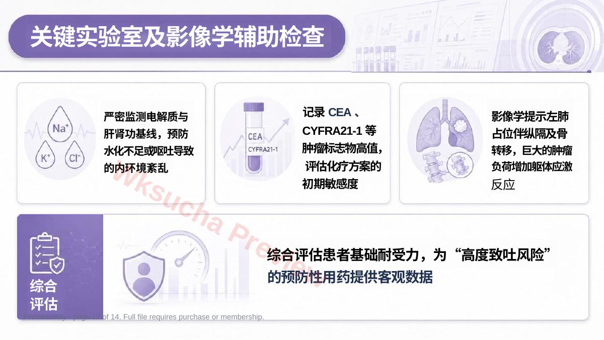 预览第 12 页