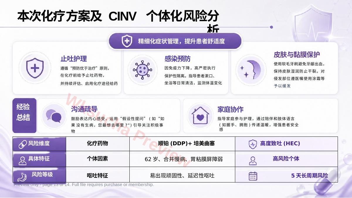 预览第 13 页