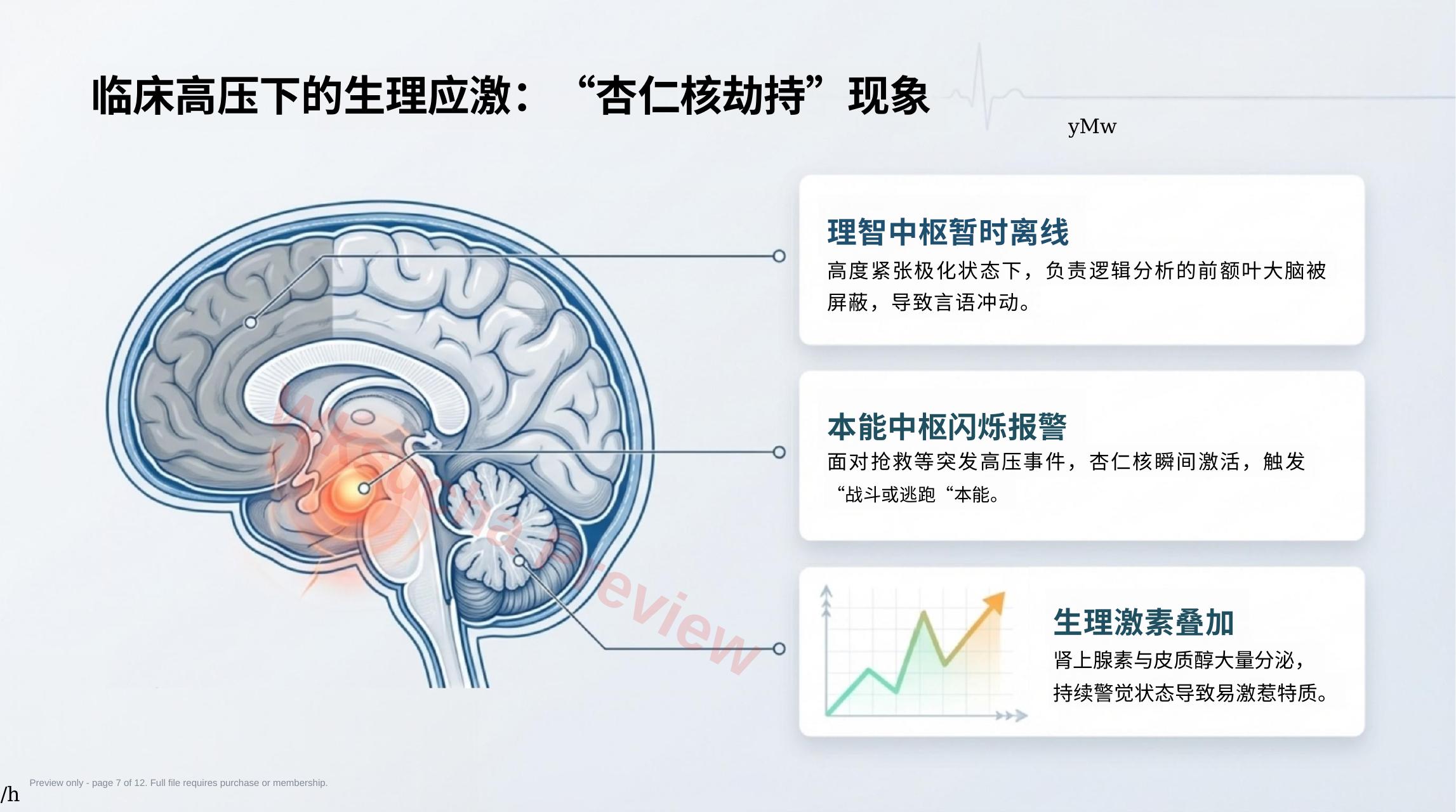预览第 7 页