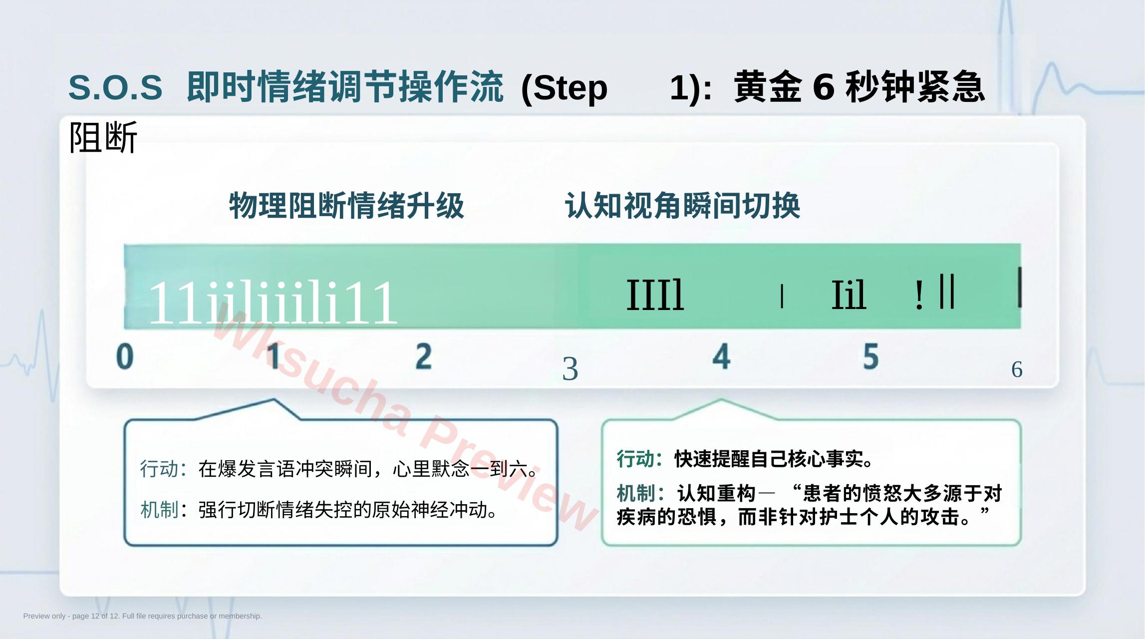 预览第 12 页