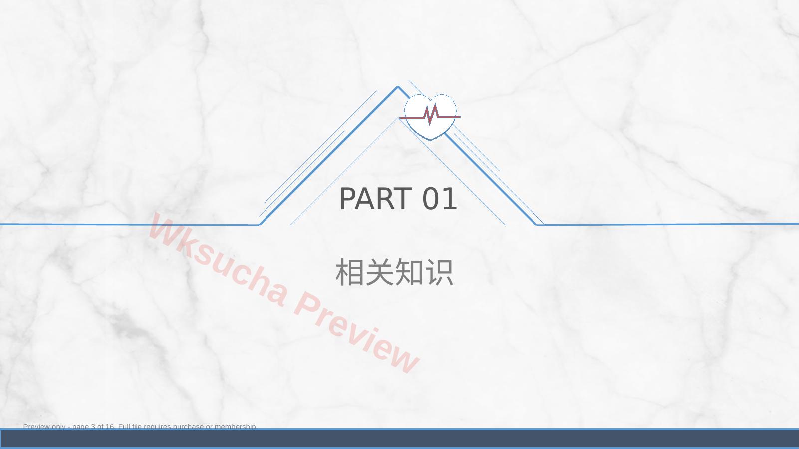 预览第 3 页