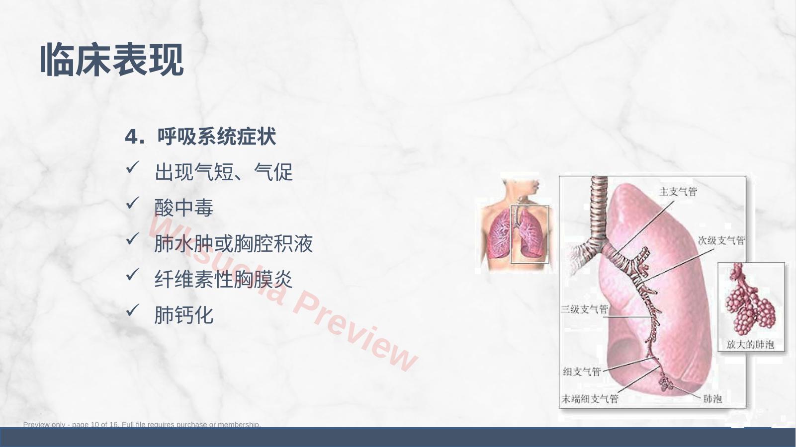 预览第 10 页