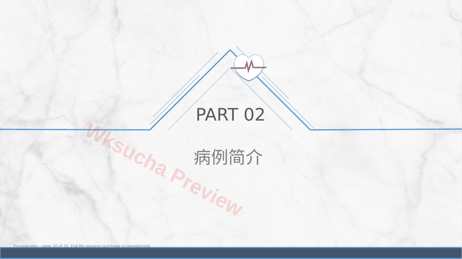 预览第 16 页