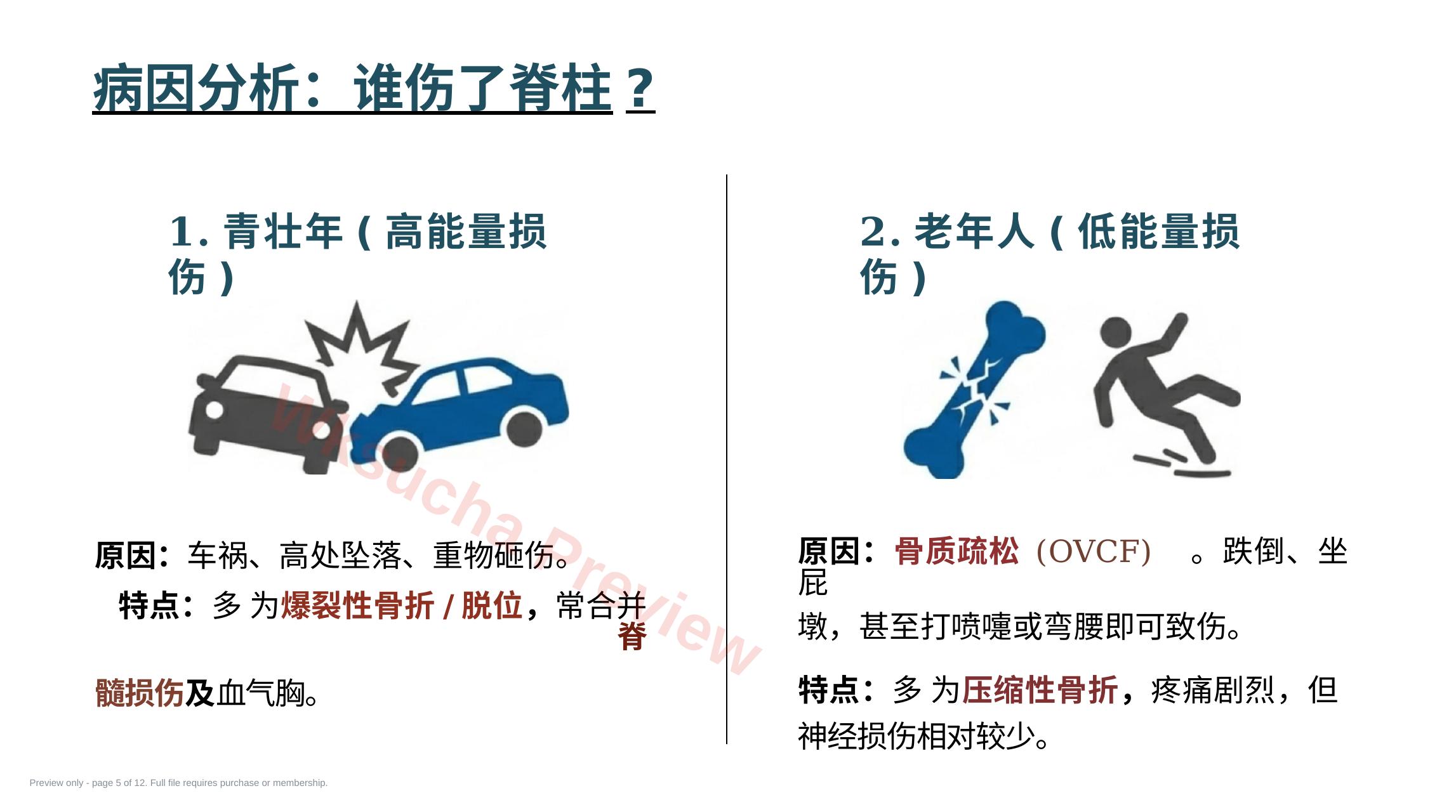 预览第 5 页