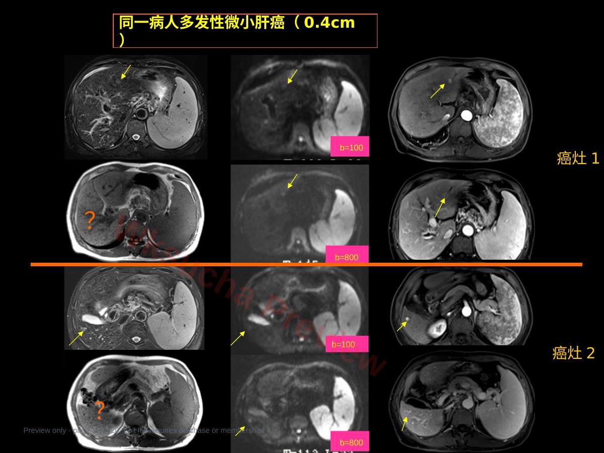 预览第 12 页