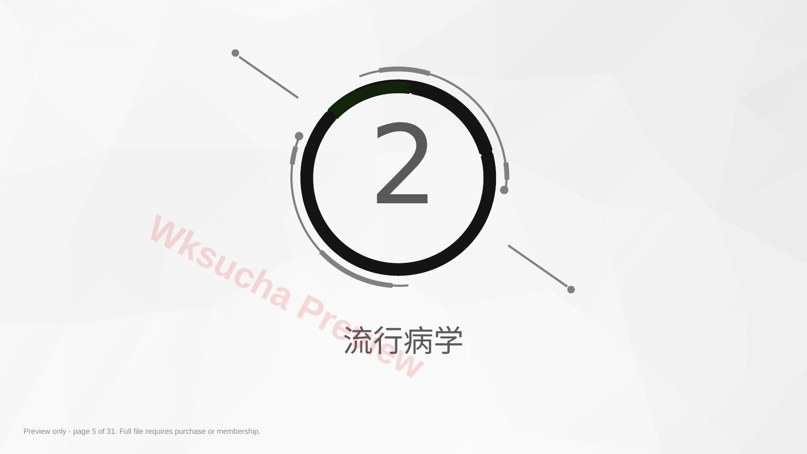 预览第 5 页