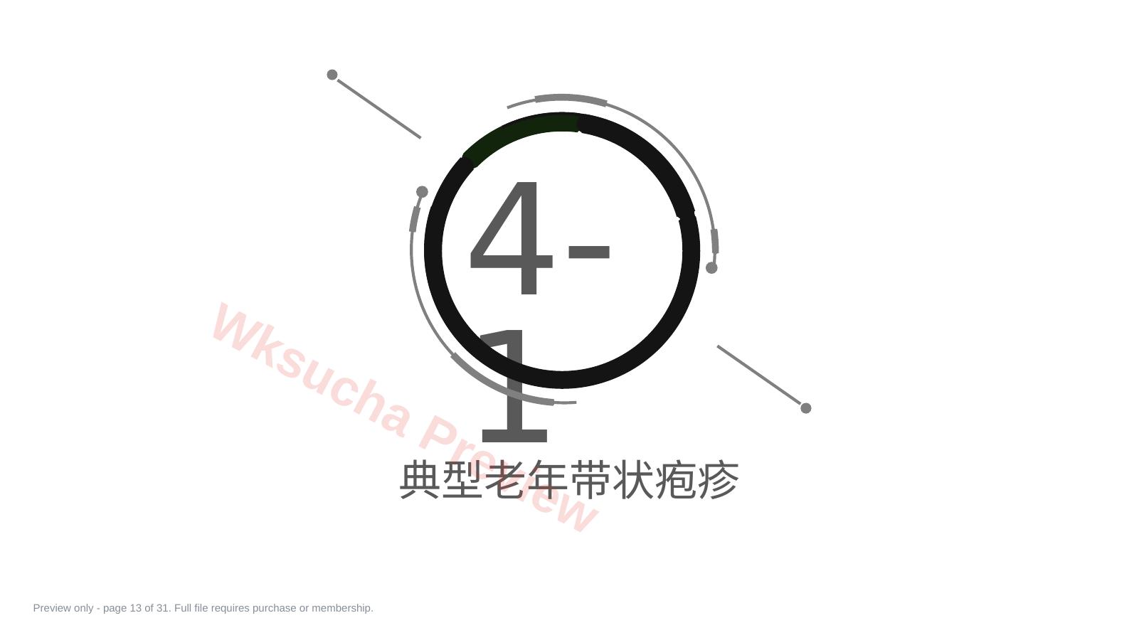 预览第 13 页