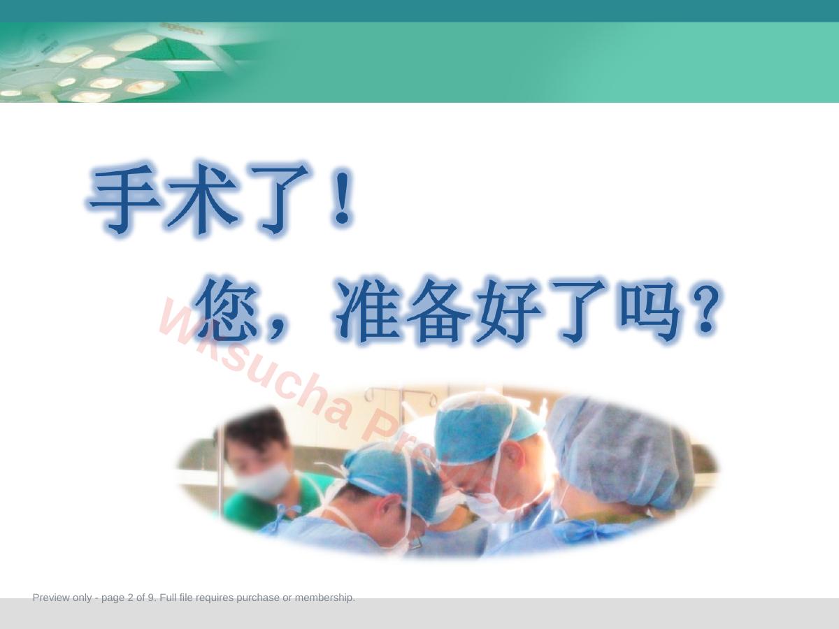 预览第 2 页