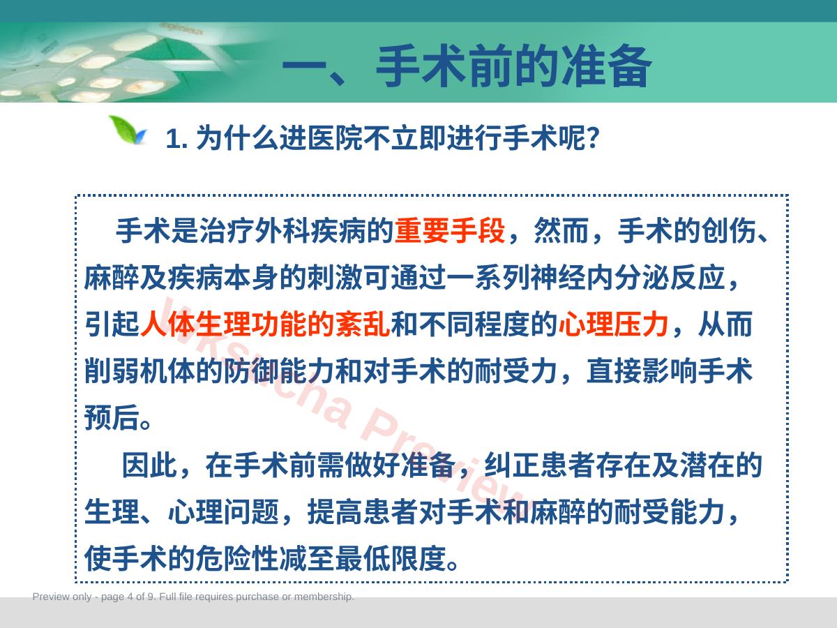 预览第 4 页