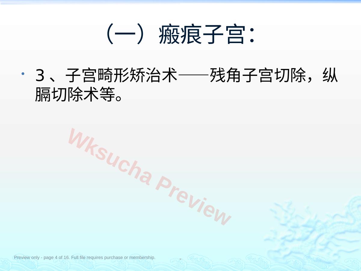 预览第 4 页