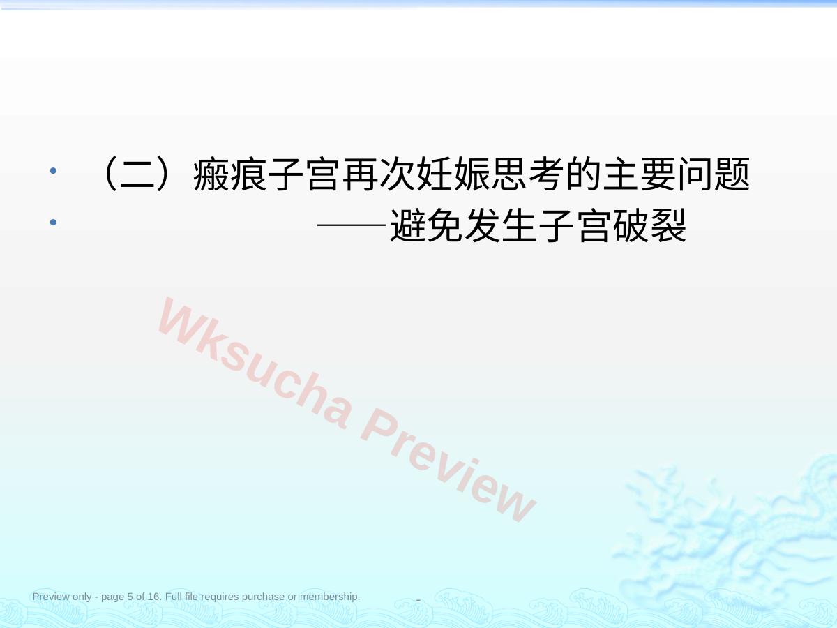 预览第 5 页