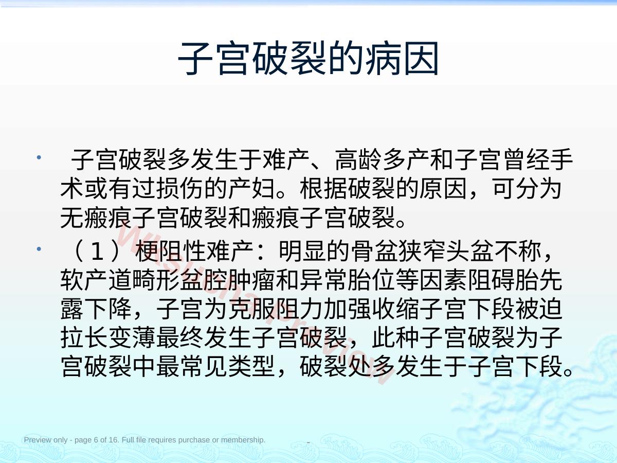 预览第 6 页