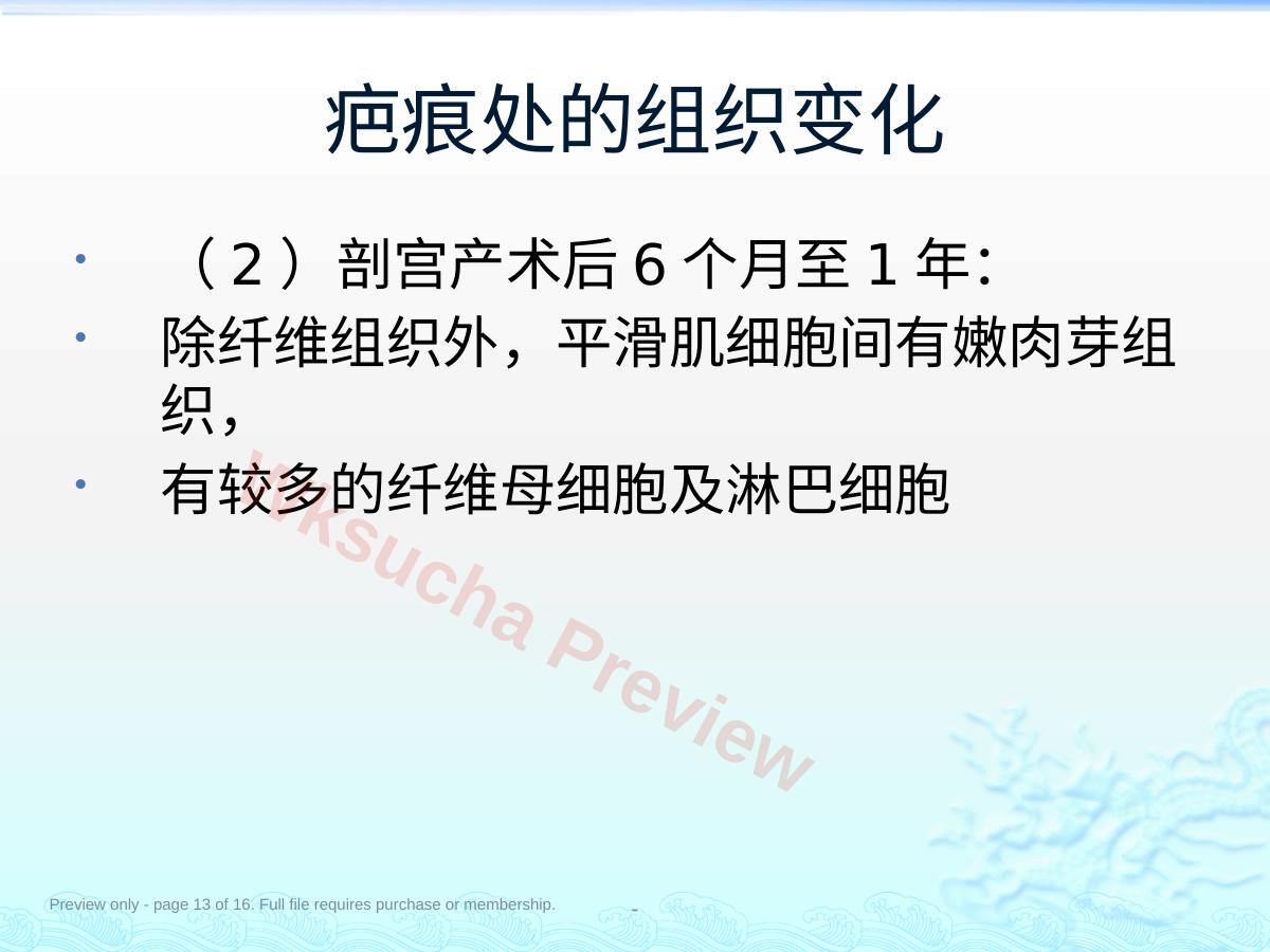预览第 13 页