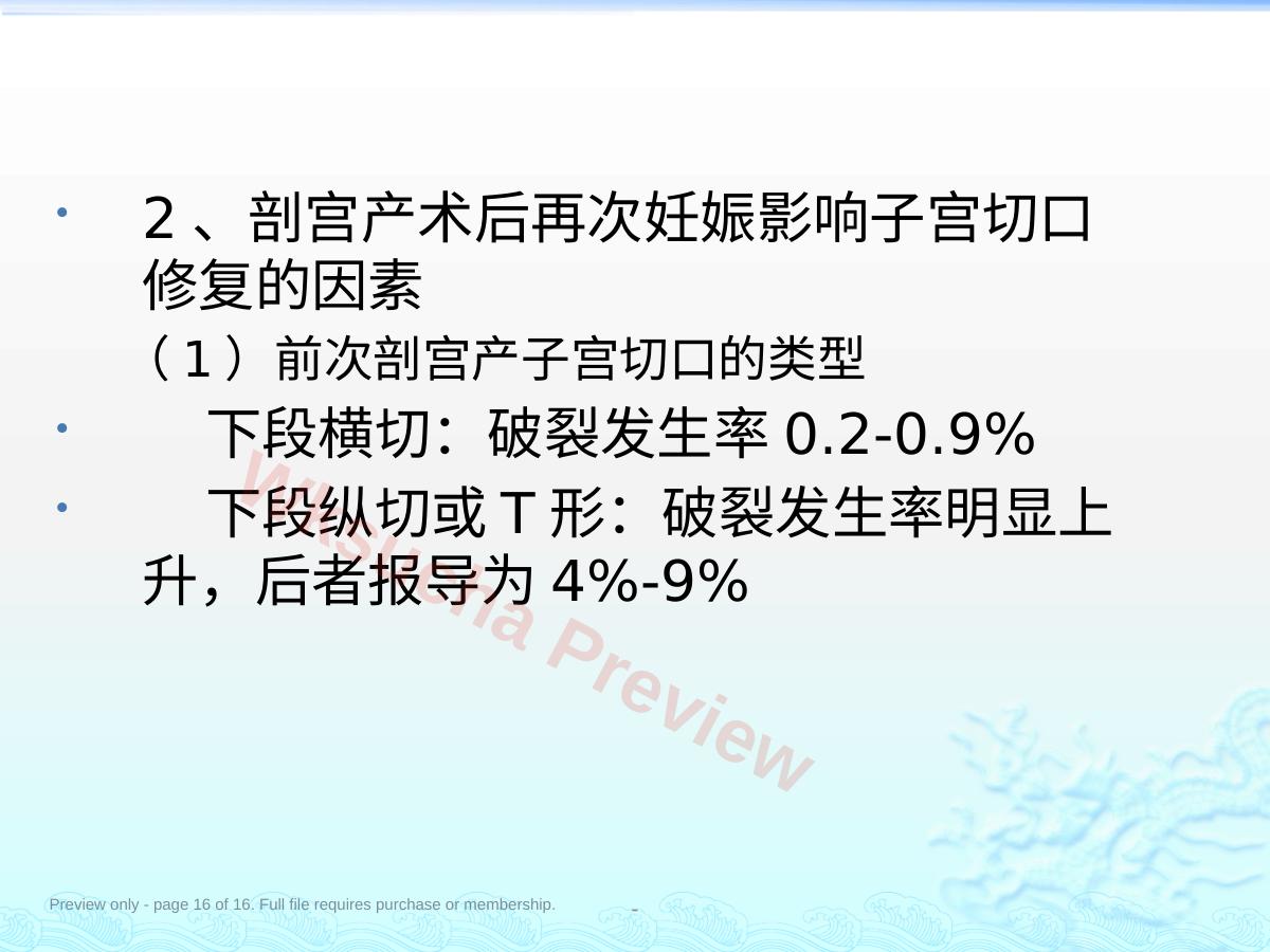 预览第 16 页