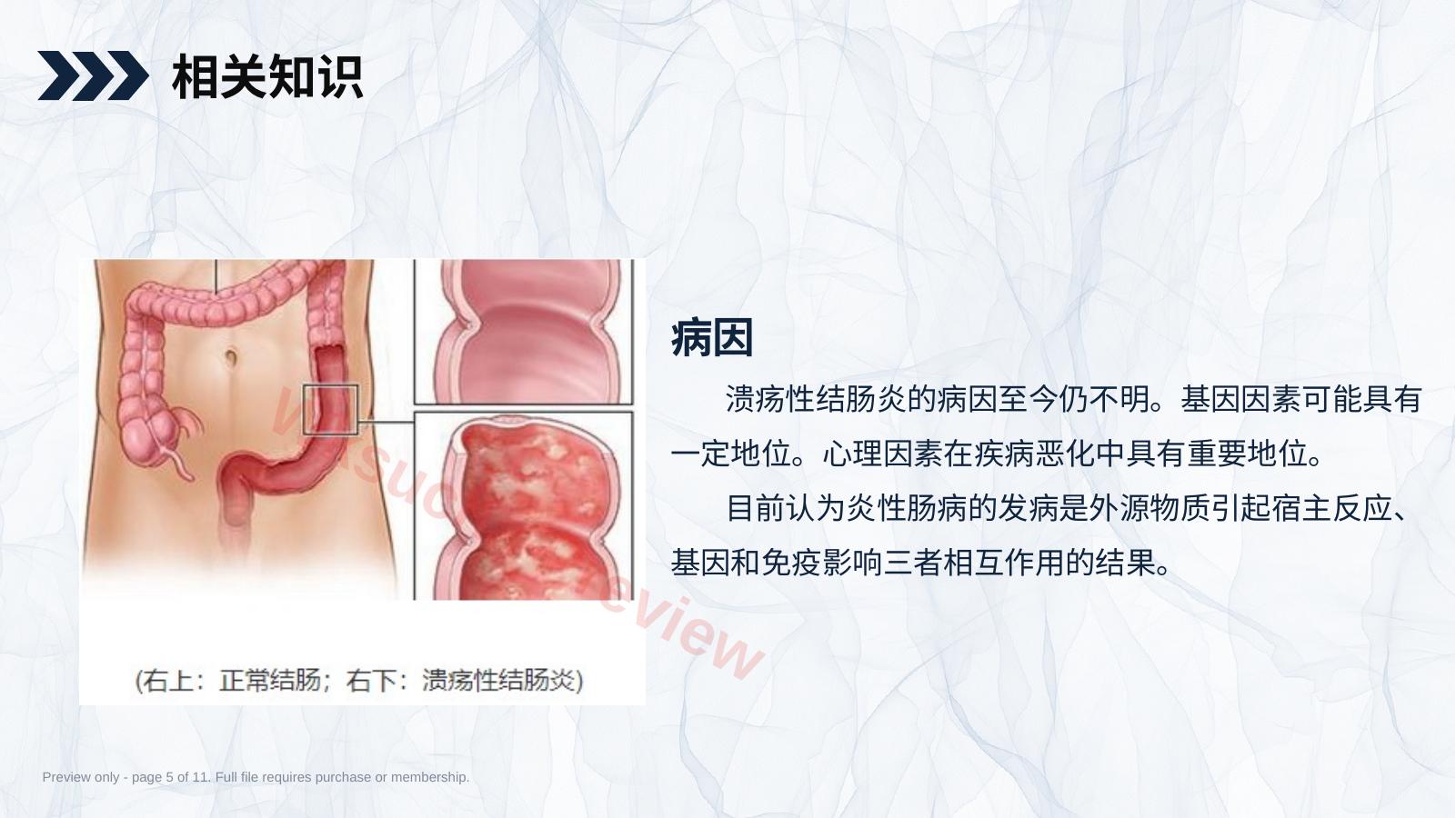预览第 5 页