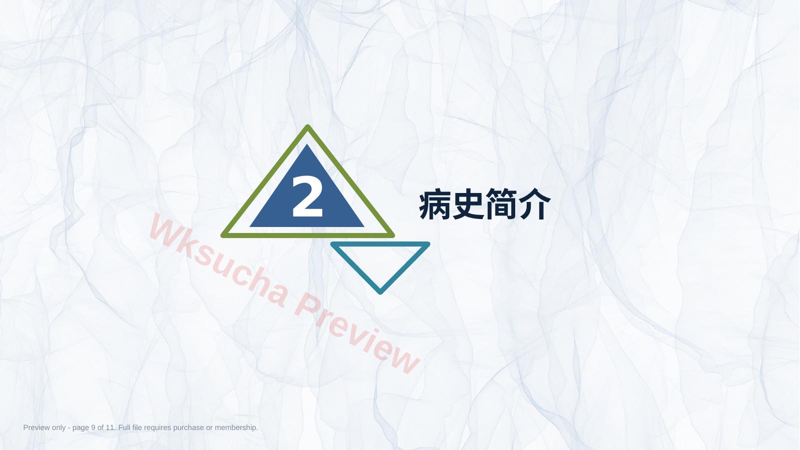 预览第 9 页