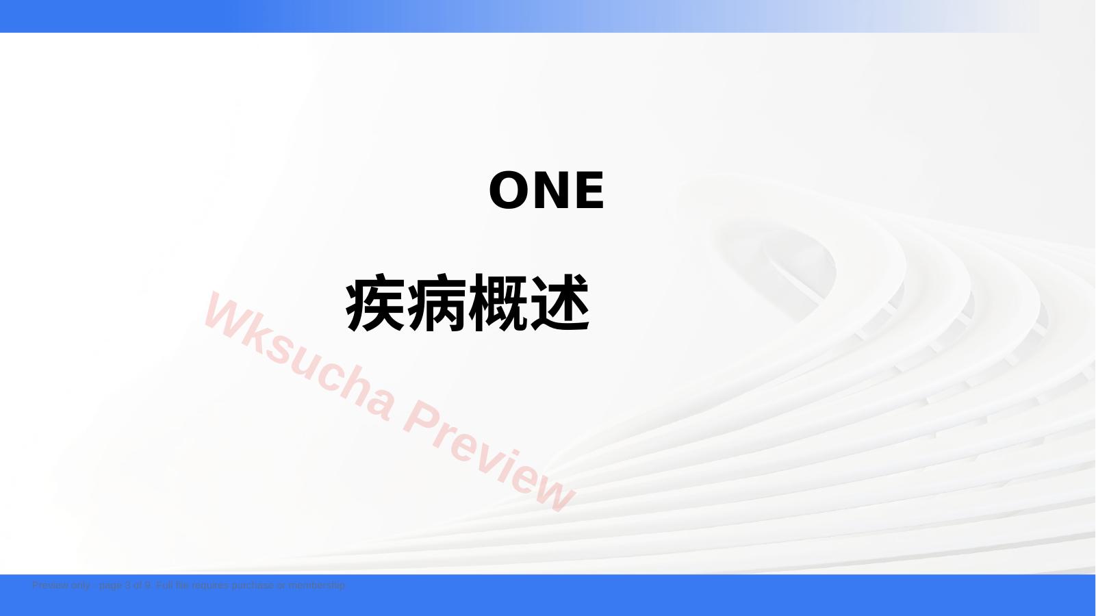 预览第 3 页