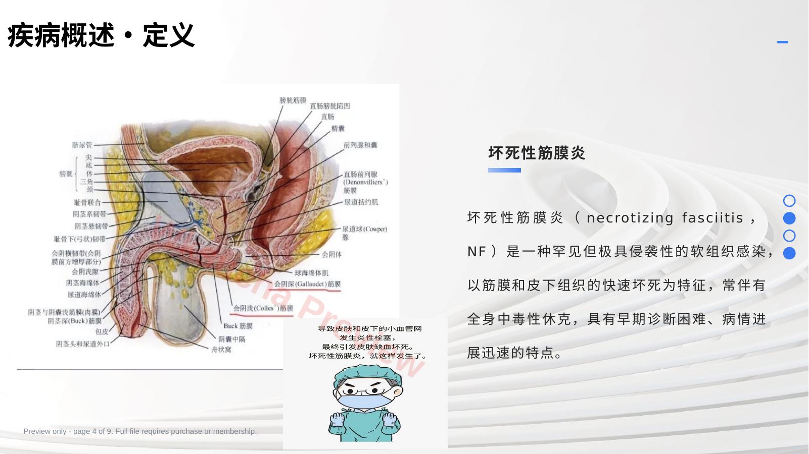 预览第 4 页