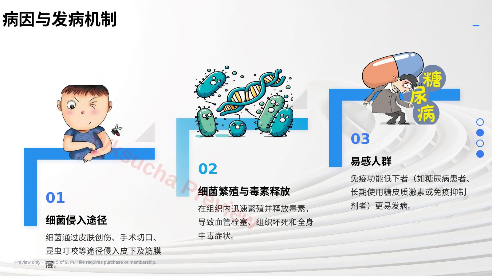 预览第 5 页