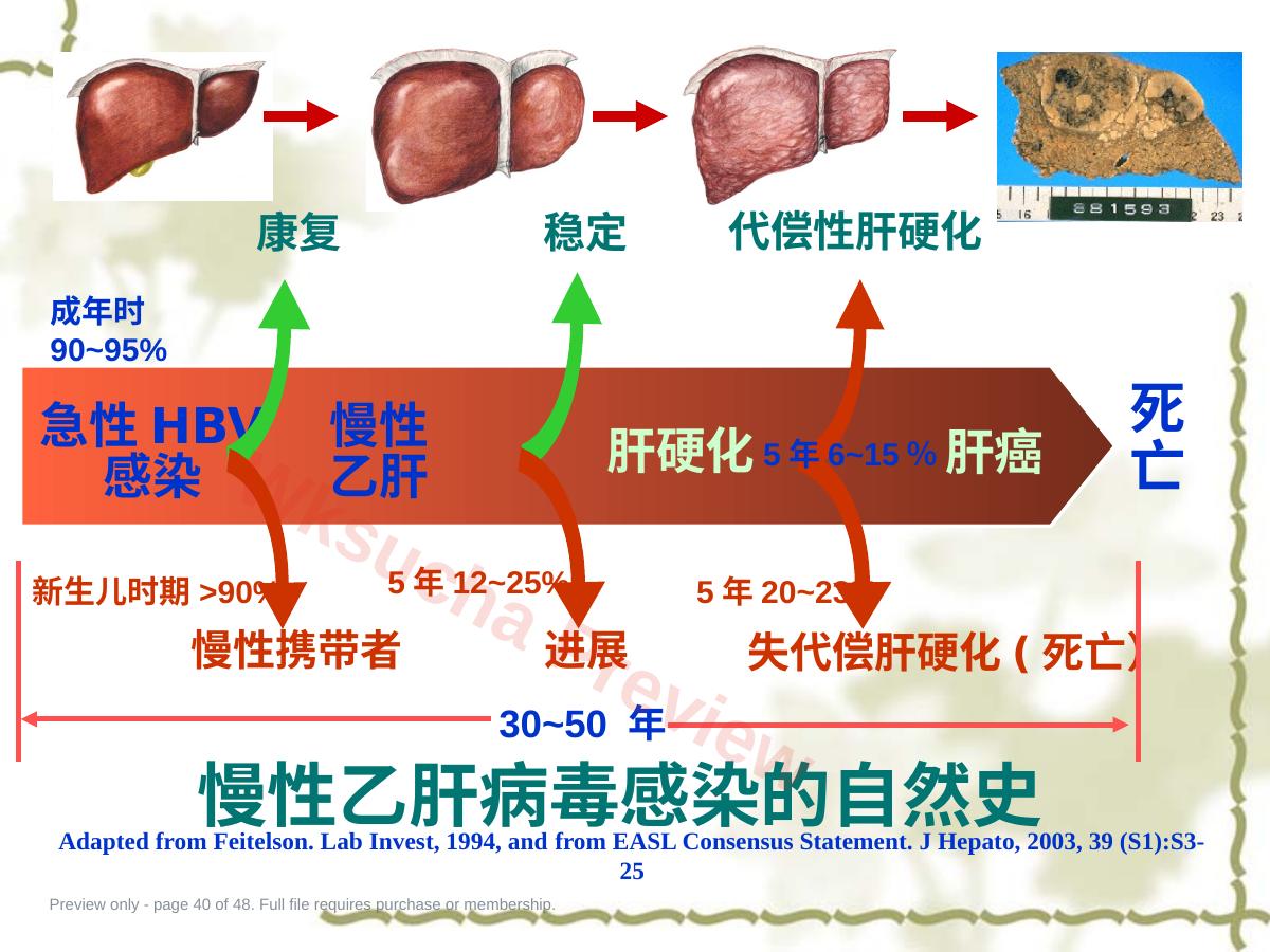 预览第 40 页