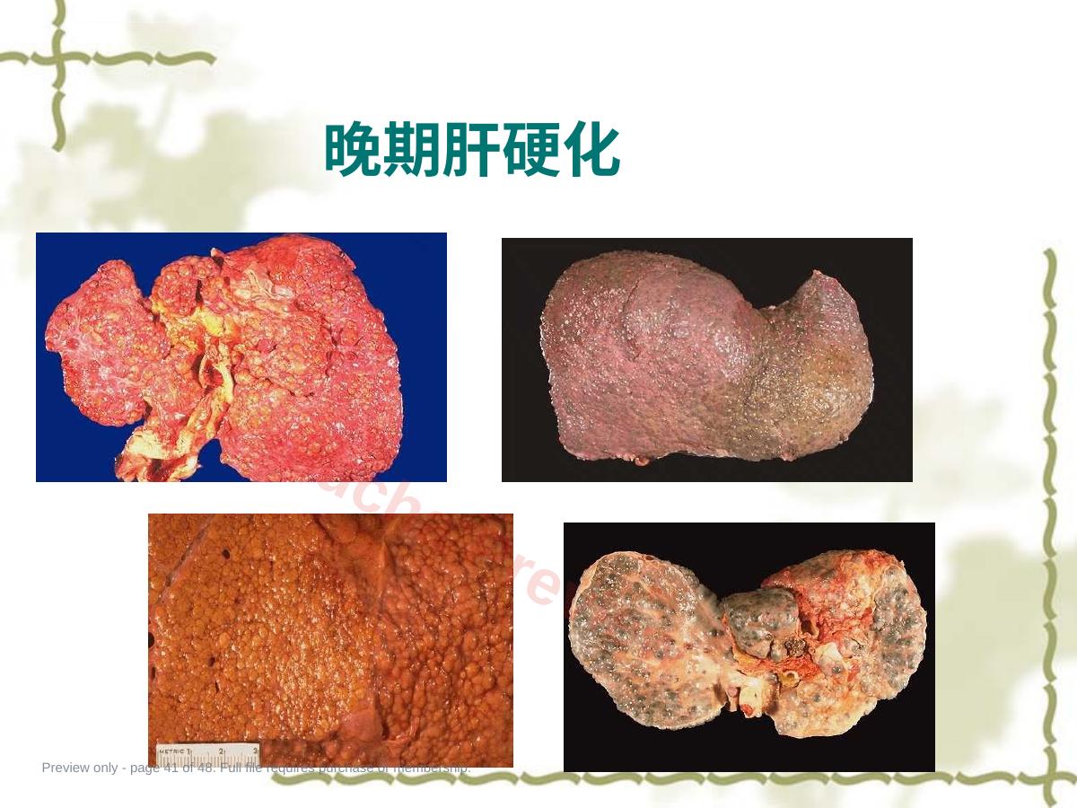 预览第 41 页