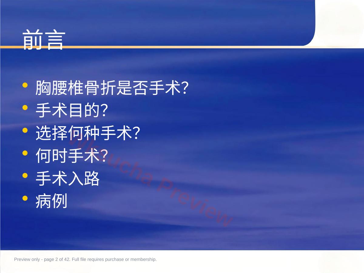 预览第 2 页