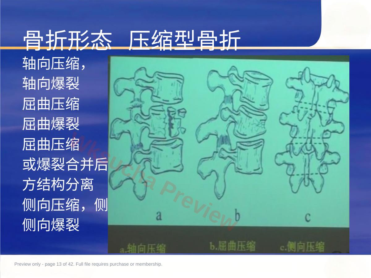 预览第 13 页