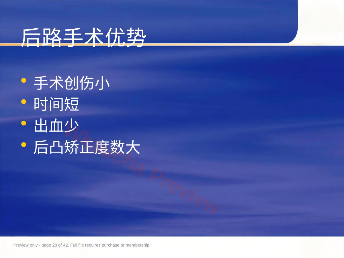 预览第 28 页