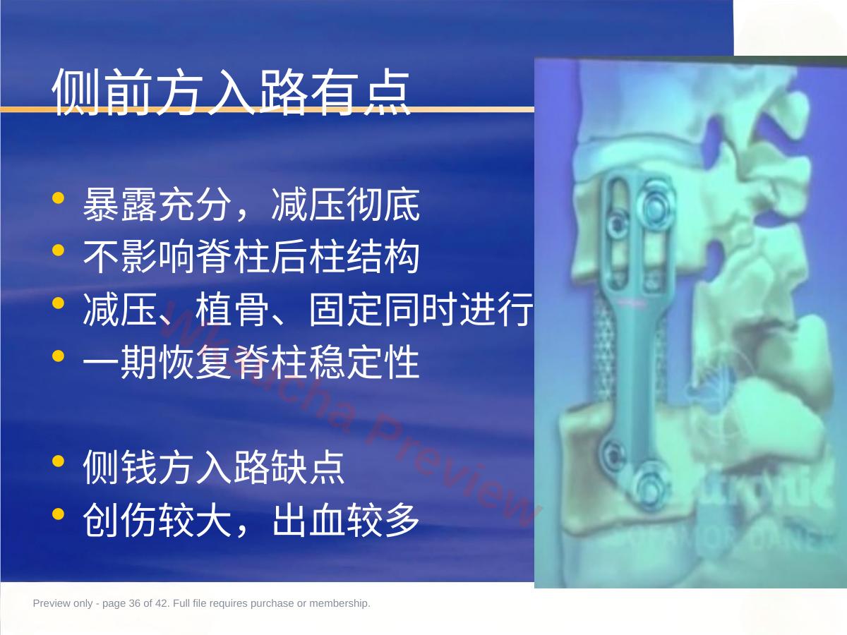 预览第 36 页