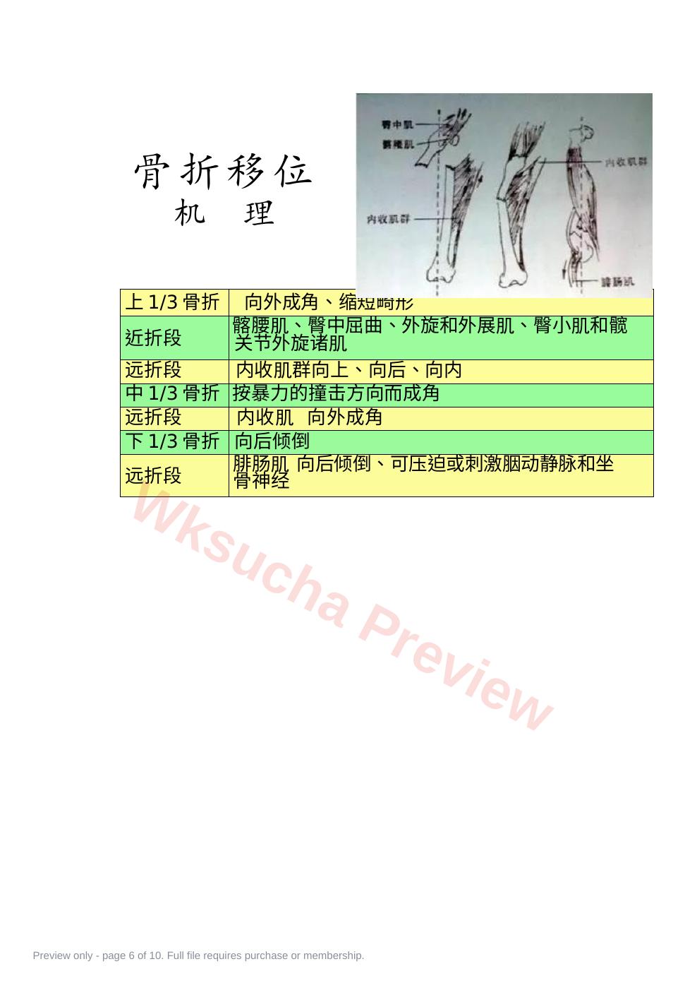 预览第 6 页