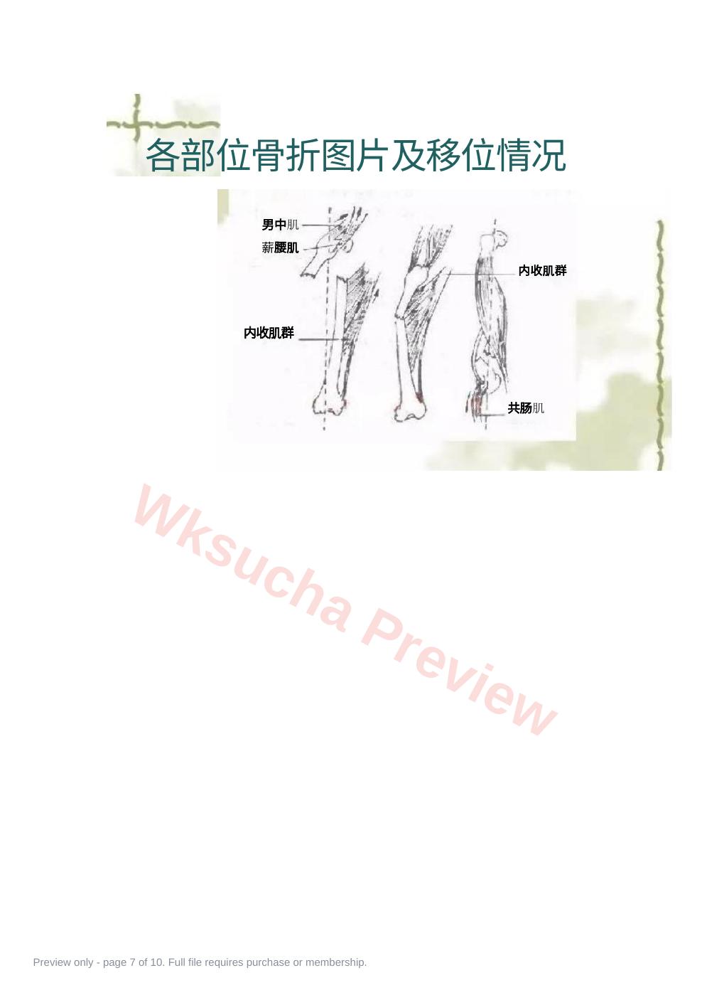 预览第 7 页