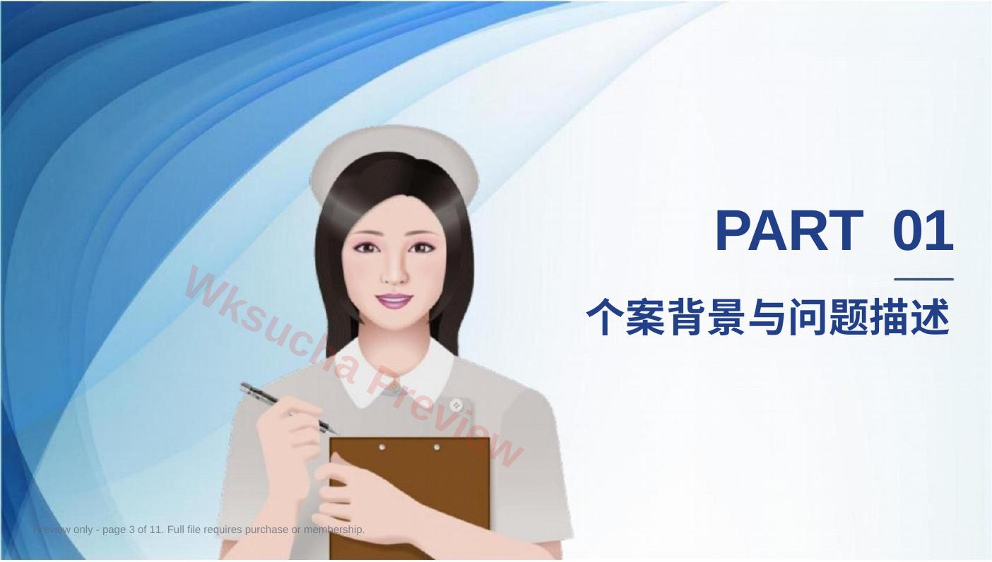 预览第 3 页