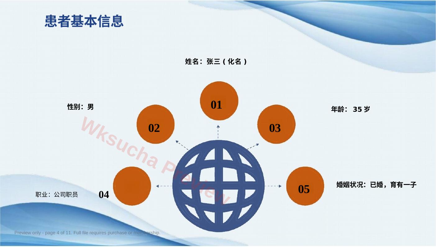 预览第 4 页