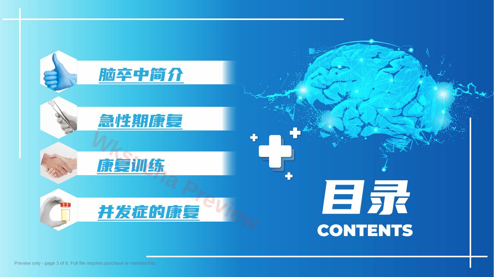 预览第 3 页
