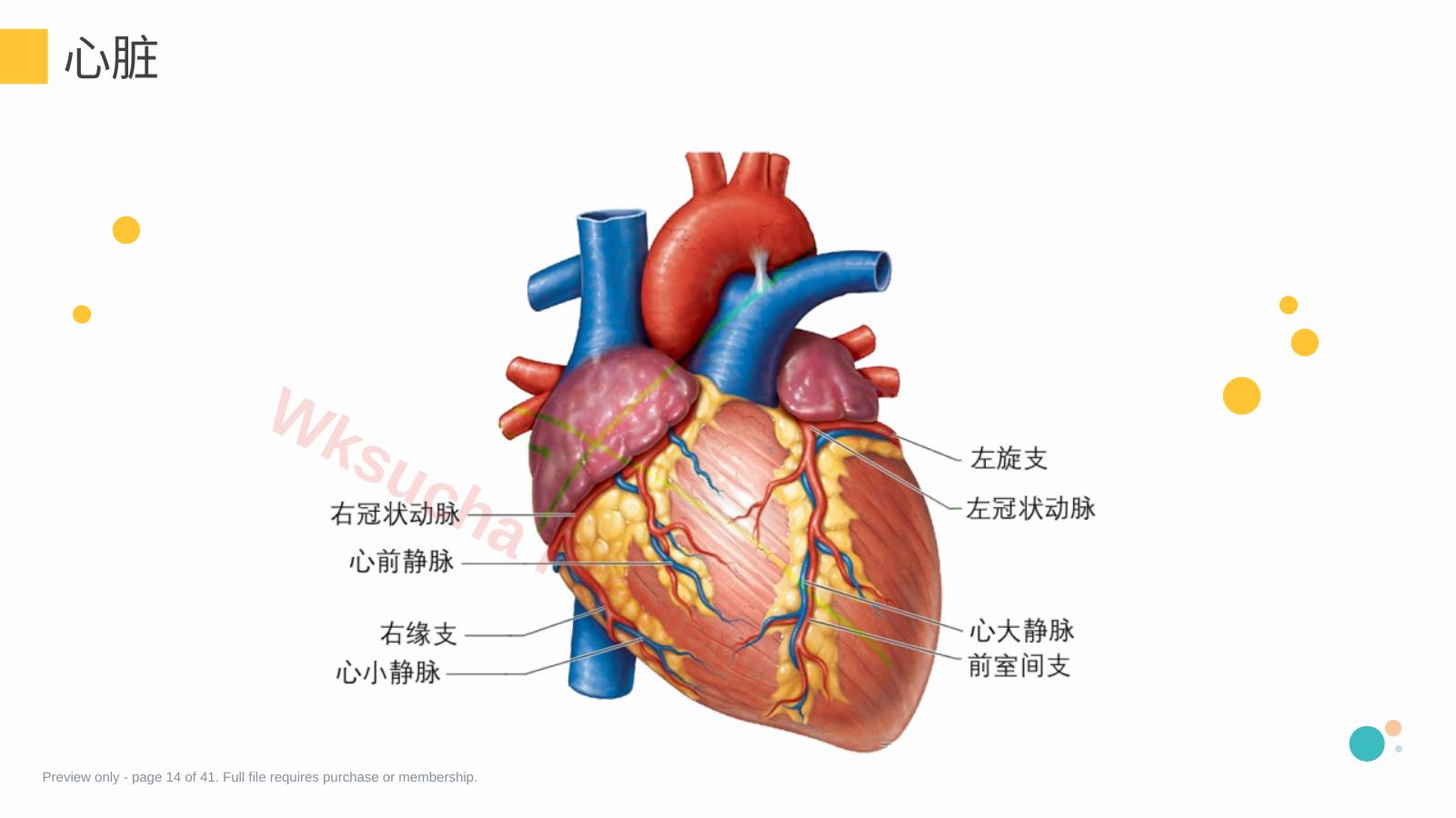 预览第 14 页