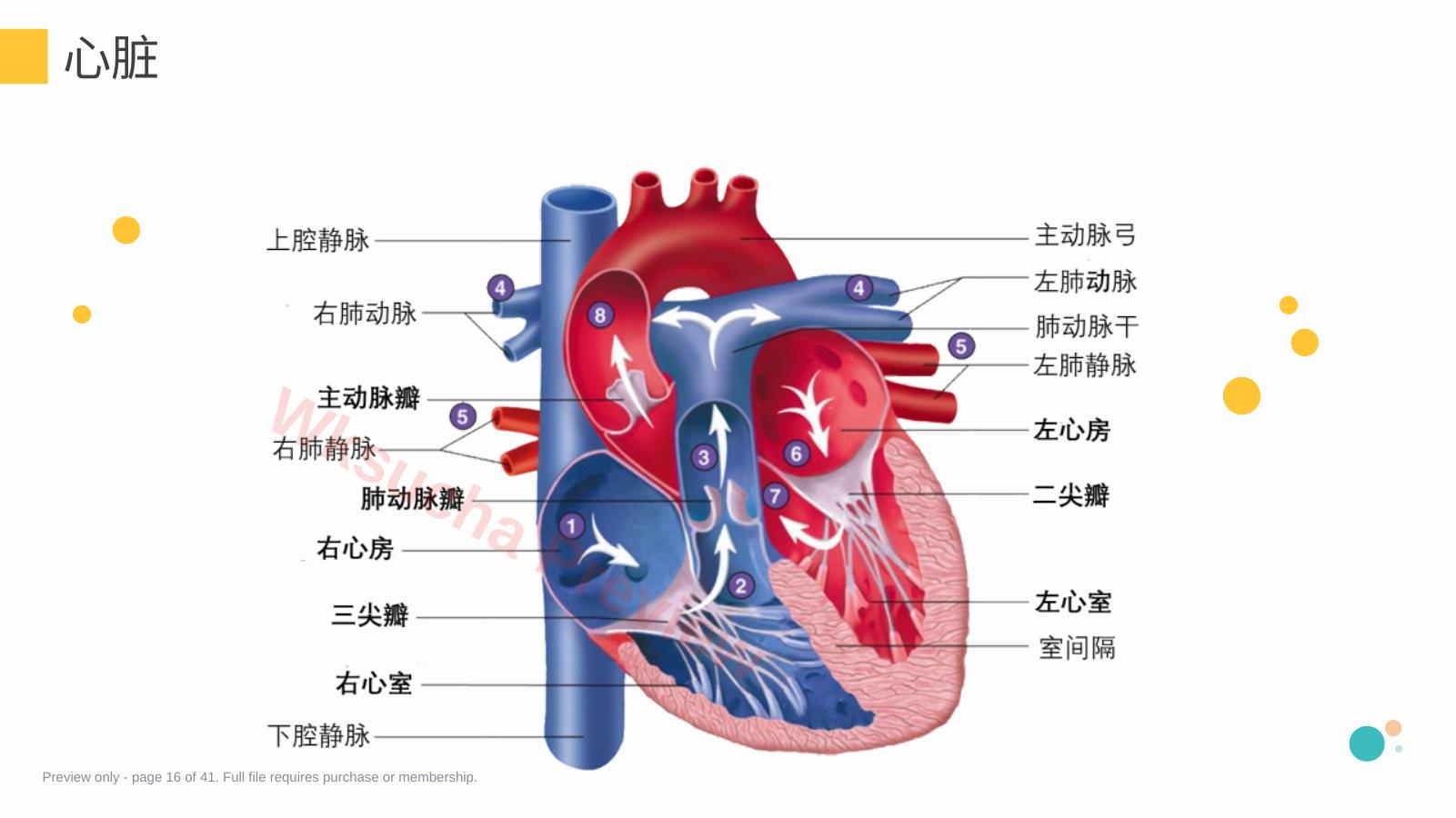 预览第 16 页