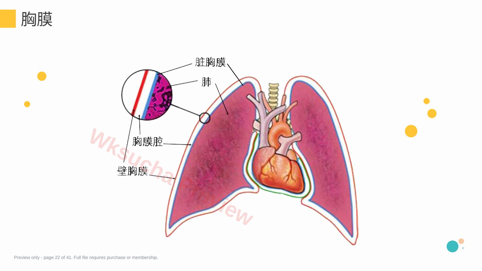 预览第 22 页