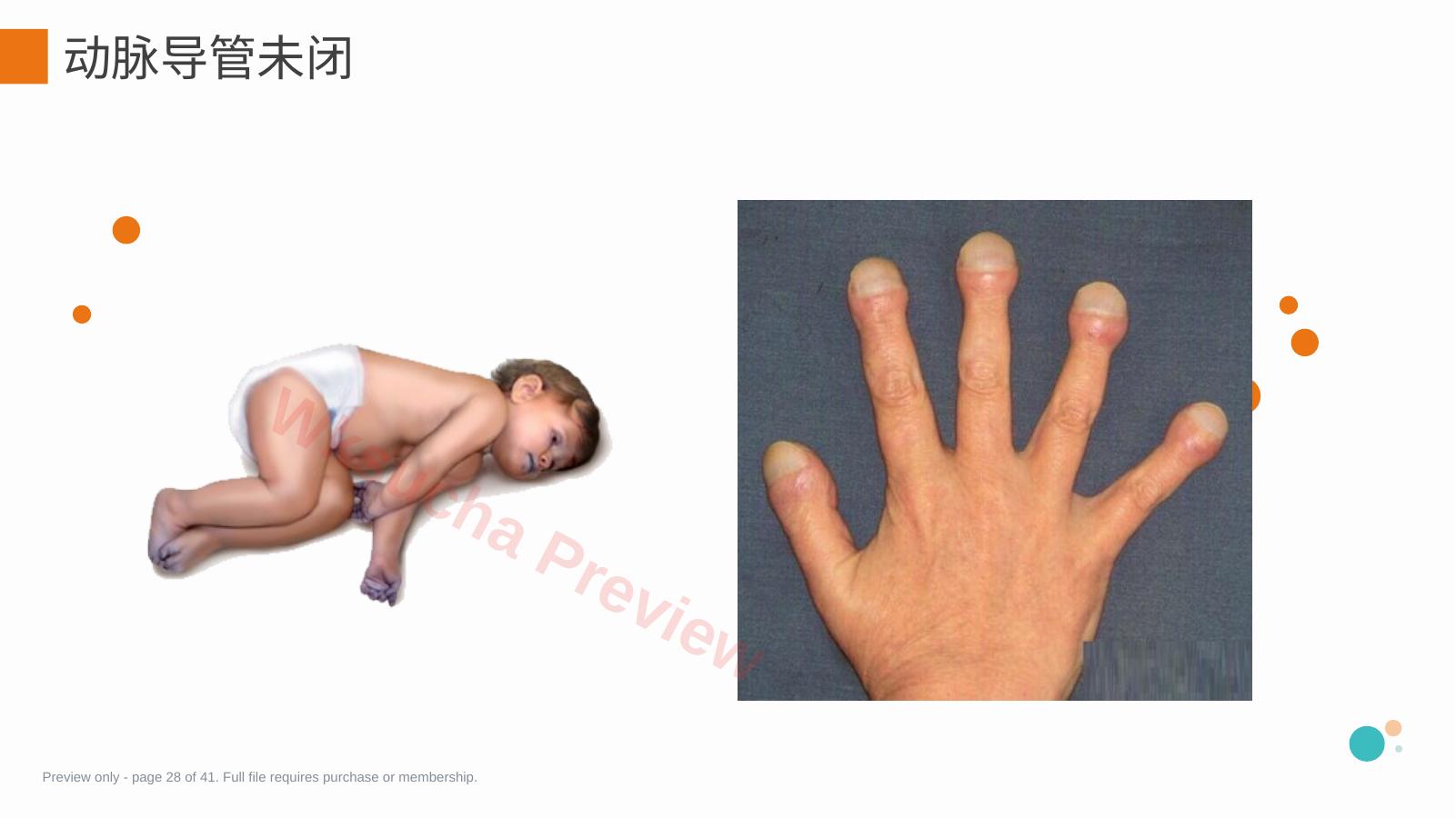预览第 28 页