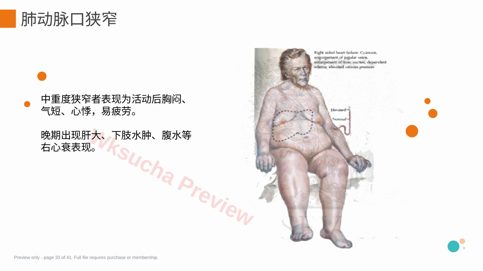 预览第 33 页