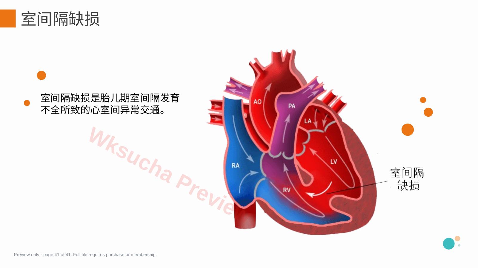 预览第 41 页